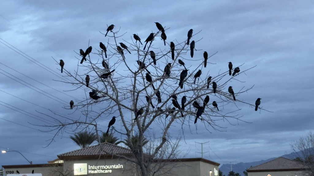 Is this thing&nbsp;on?